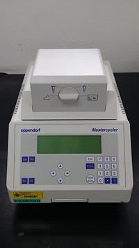 PCR