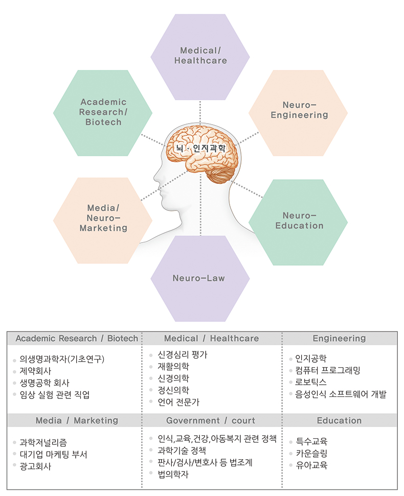 뇌 인지과학부 졸업 후 진로