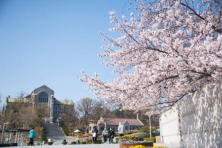 학교사진6